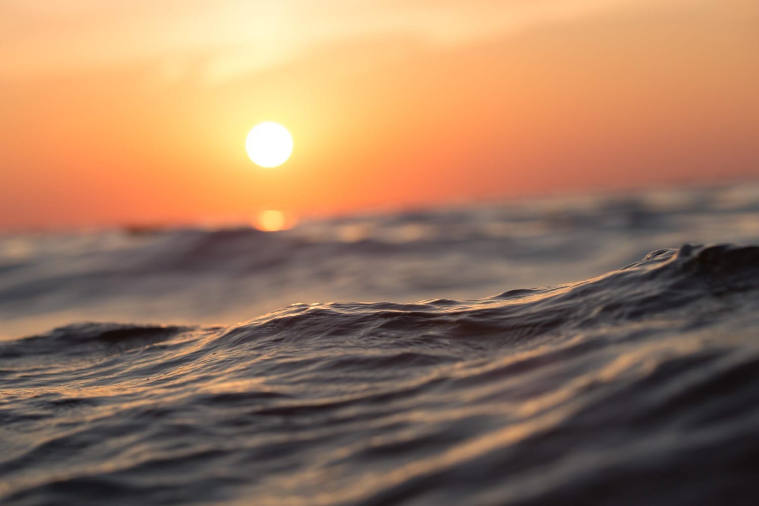 Dolphins and Sunrise