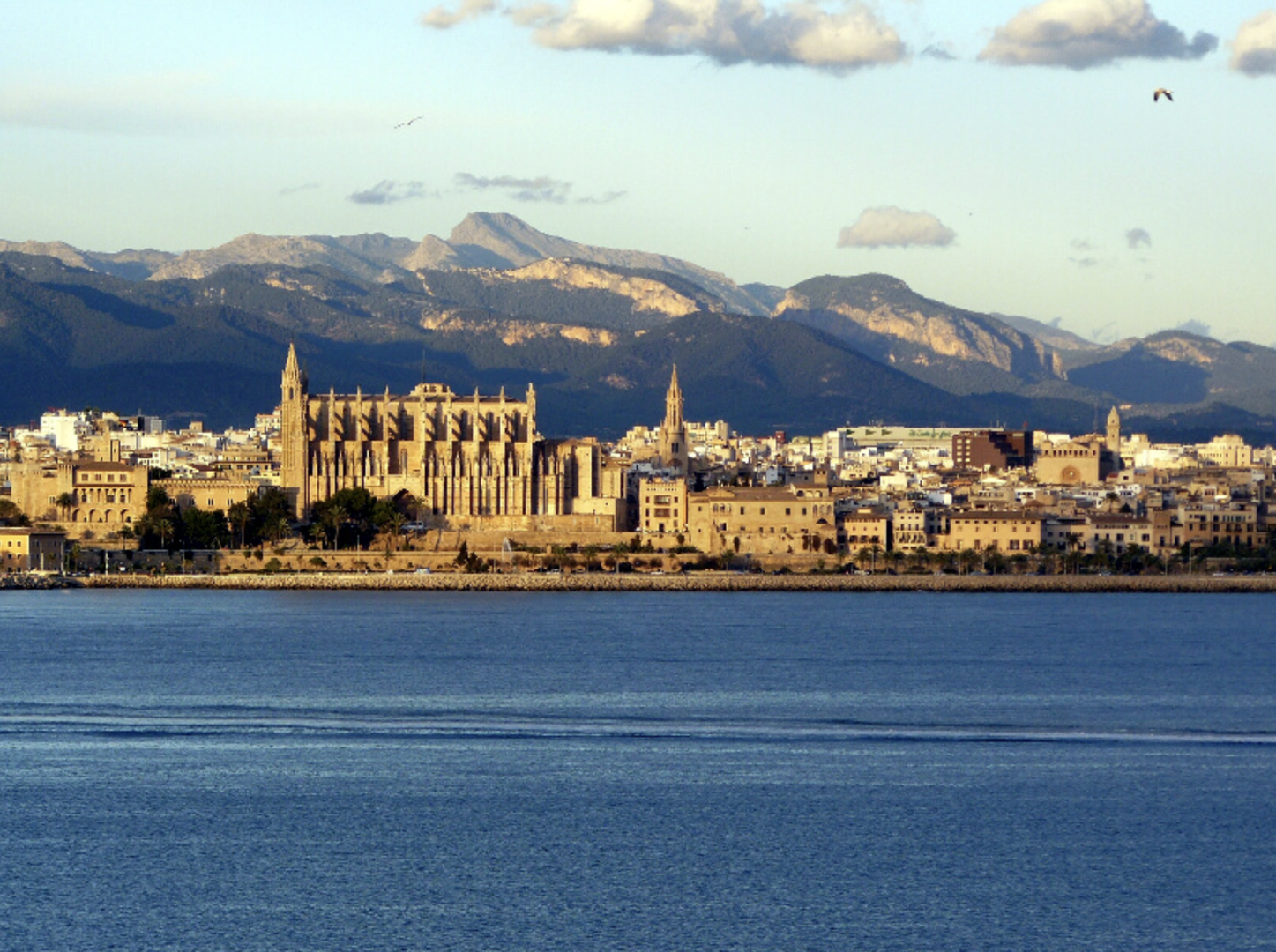Discovery Tour - Illetas