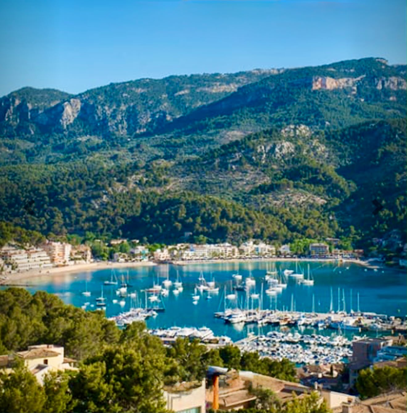 Island Tour by Bus, Train, Boat & Tram