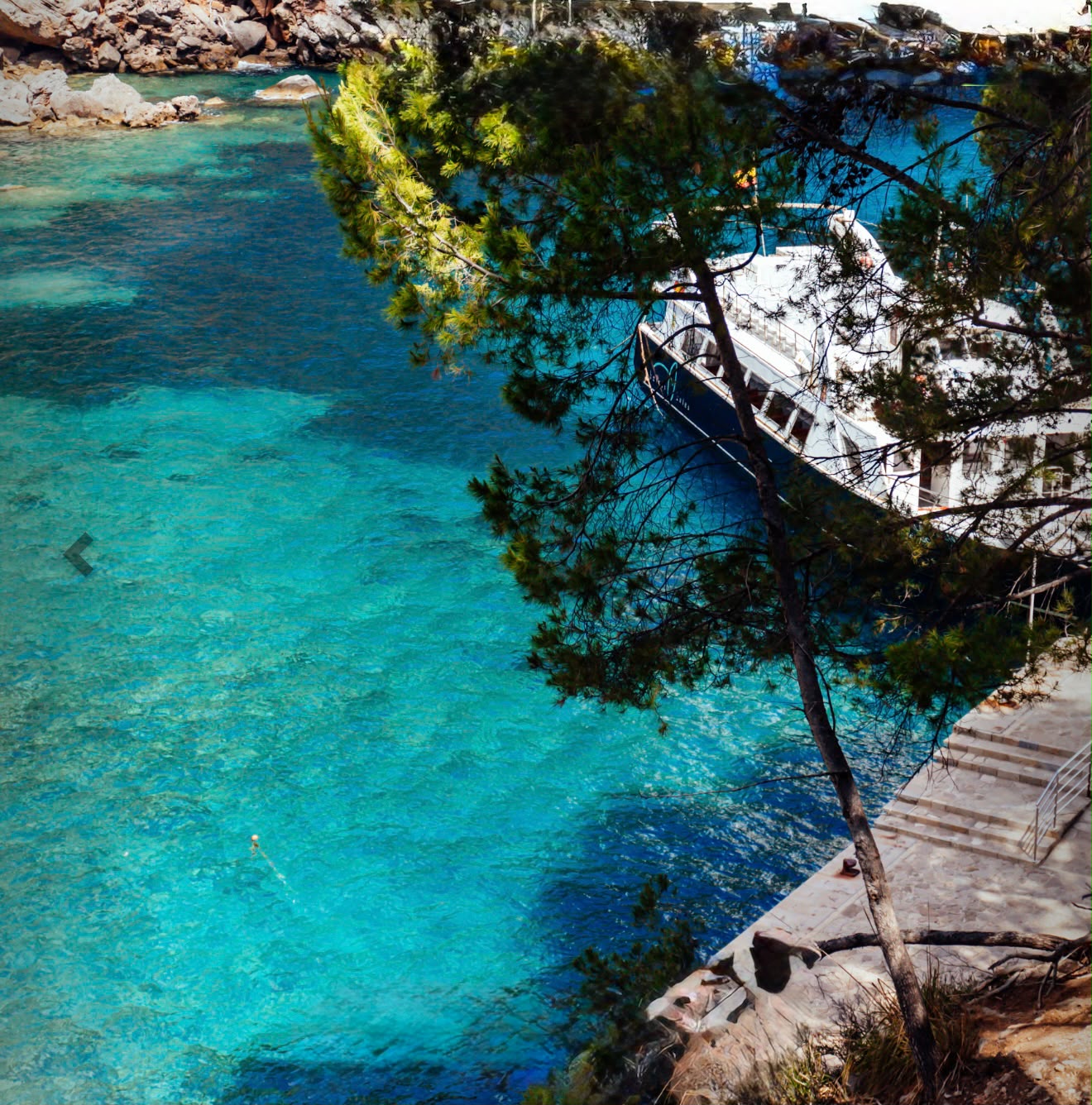 TOP Island Tour (Vuelta Isla)