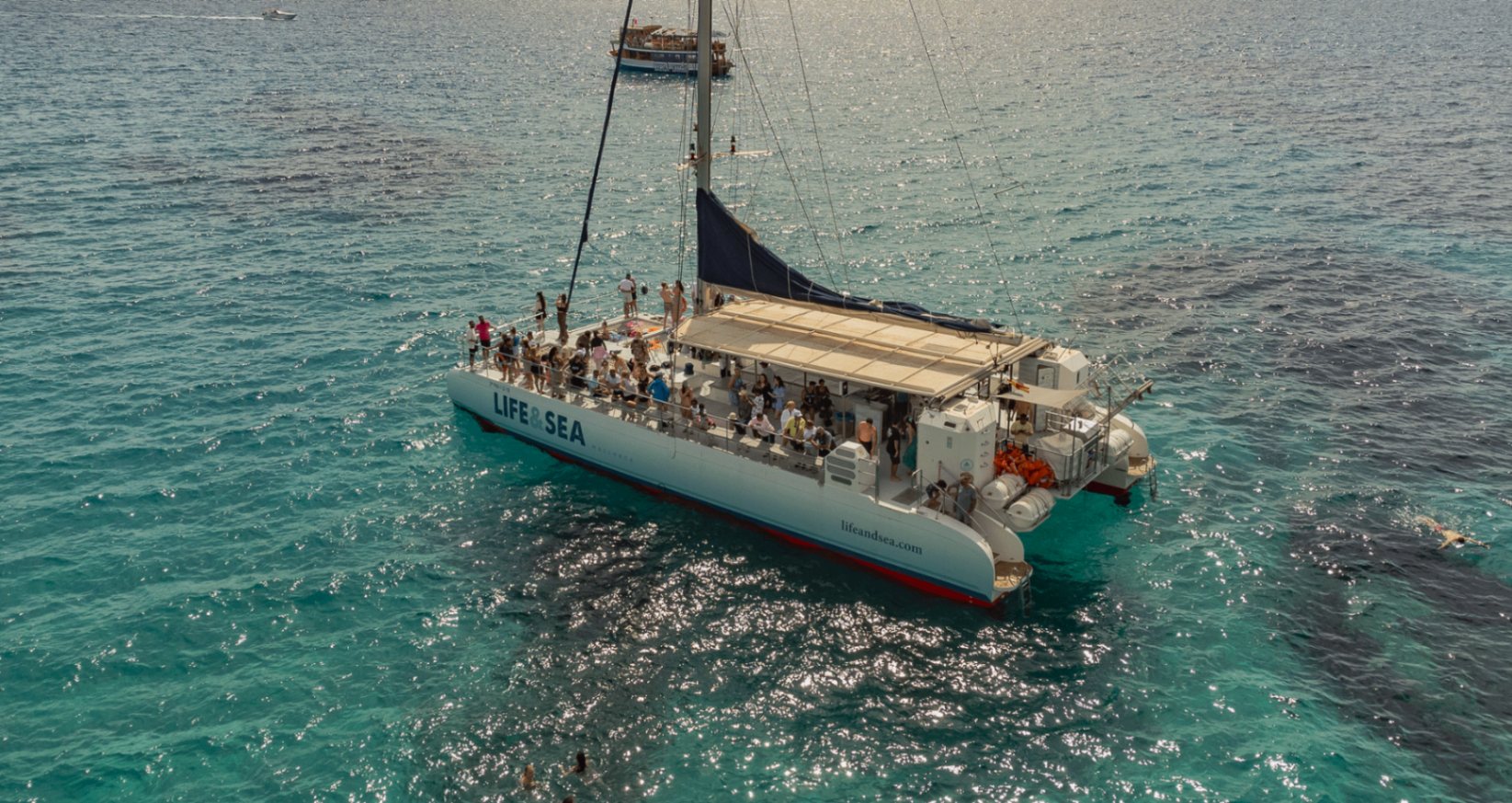 Catamaran Day Trip