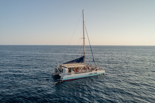 Catamaran Tour